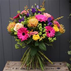 Vibrant surprise 