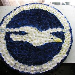 Brighton and Hove Albion badge