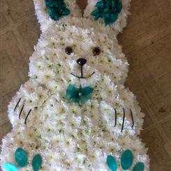 Cute Bunny Rabbit