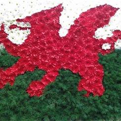 Welsh dragon tribute