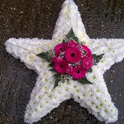 Star tribute