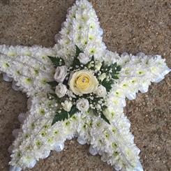 Pure white twinkling star 