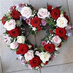 Red rose open heart 