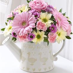 Cute pink and cream  baby duckling watering can