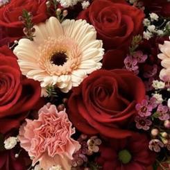 Florist choice Valentines Handtied bouquet including 1 red rose