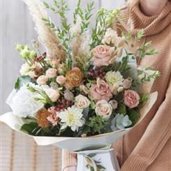 Natures treasures 