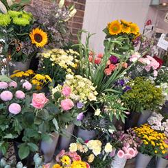 Subscription flowers a selection of seasonal flowers Peak Time