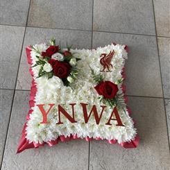 Liverpool themed cushion