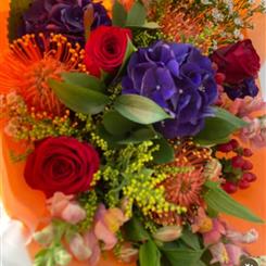 Vivid colour