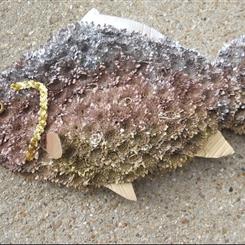 Natural Fish