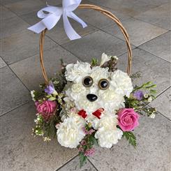 Puppy in a basket