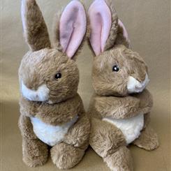 Brown bunnies 